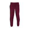 Classic Fleece Hometown Sweatpant - Mens